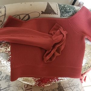 Crop top off the shoulde long embellished sleeves